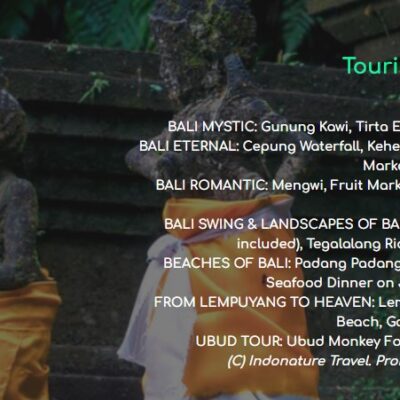 Tours in Bali at Indonature Travel Bali - Indonesia