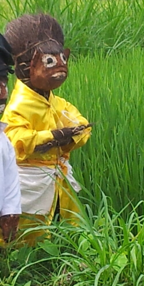 Indonature Travel Bali - Indonesia